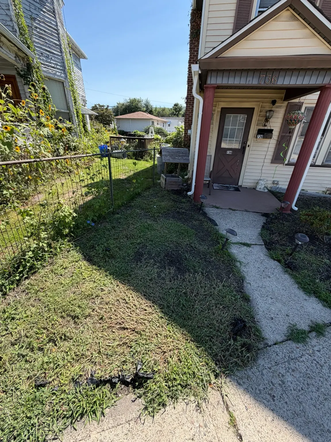 Weedy front yard before mulch removal and grass reseeding
